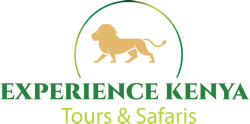 Experience Kenya Tours and Safaris