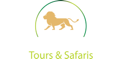 Experience Kenya Tours and Safaris